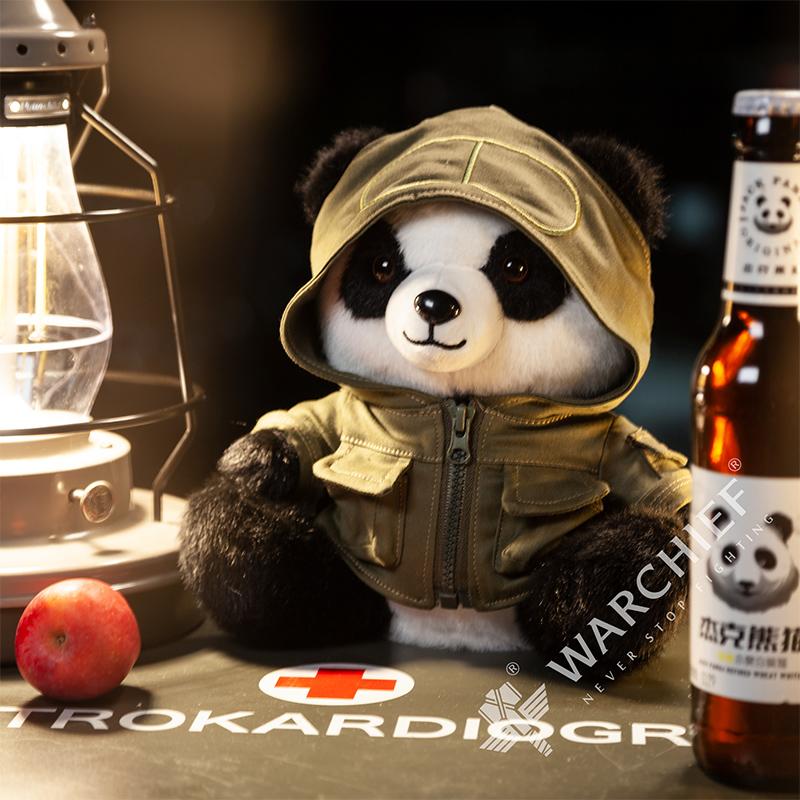 Panda acampamento tanque de gá - Camping Cooking Backpack avaliação e preço